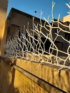 نمونه نصب حفاظ بوته خاری روی دیوار - جوشکاران حفاظ نمونه نصب حفاظ بوته خاری روی دیوار ساختمان در اصفهان - اجرا شده توسط جوشکاران حفاظ