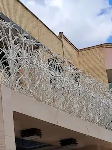 نمونه نصب حفاظ نخل مرداب روی دیوار - جوشکاران حفاظ نمونه نصب حفاظ نخل مرداب روی دیوار ساختمان در اصفهان - اجرا شده توسط جوشکاران حفاظ